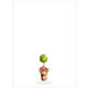 Sweet Brunch Display Invitations Image 2 of 4
